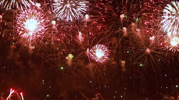 Colorful Fireworks Exploding in the Night Sky