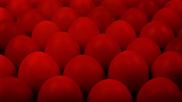 Eggs In Incubator alt