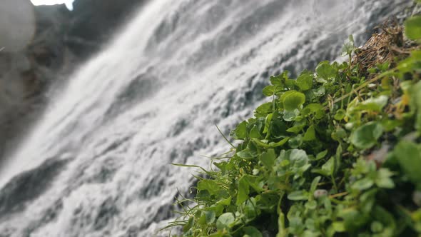 Stormy Streams of Water Fall From a Great Height a Mountain Waterfall and Vegetation Around Closeup