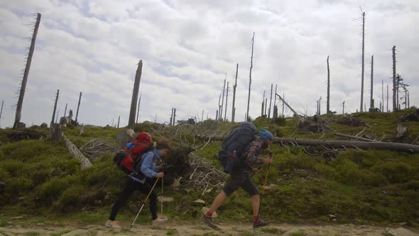 Hiking couple: two hikers (man and woman) walking together on the trail with backpacks