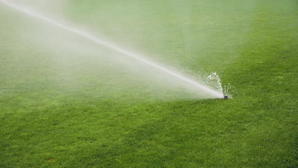 Sprinklers Spraying Water on the Green Grass in Football Field