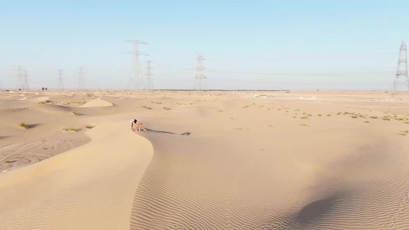 Gymnastics on Top of a Sand Dune Vacation in UAE Rub Al Khali Desert