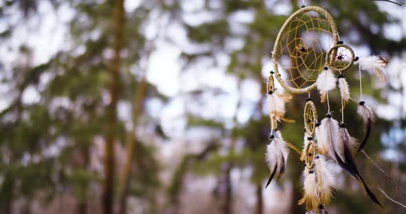 Dreamcatcher Dancing in the Wind on a Forest Background