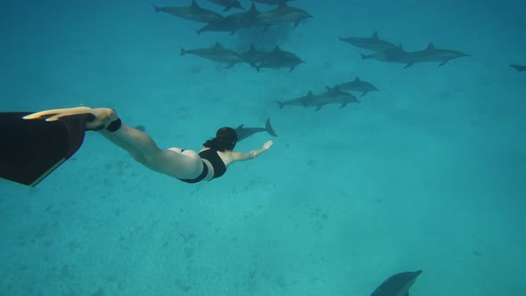 Beautiful Young Woman Swimming Underwater with Dolphins in Pristine Blue Ocean Water Amazing