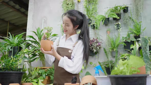 Front view of Asian plant seller standing and  decorating a small plants in flowerpot