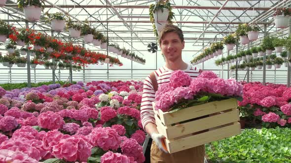 Portrait of a Smiling Florist Carries Flowers on a Tray in a Greenhouse