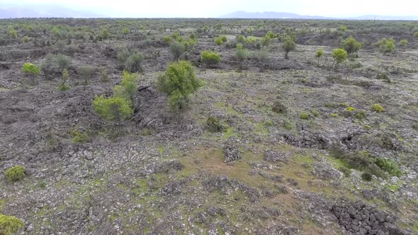 Basalt Lowland