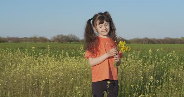 Girl pick flowers in the meadow.