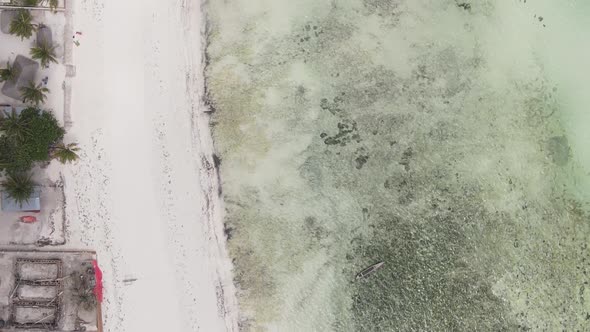 Zanzibar Tanzania  Vertical Video of the Ocean Near the Coast Slow Motion