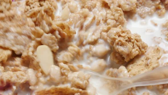 Mixing milk and cereals morning healthy food 4K 2160p UHD footage - Rice and weath cereal filled up 