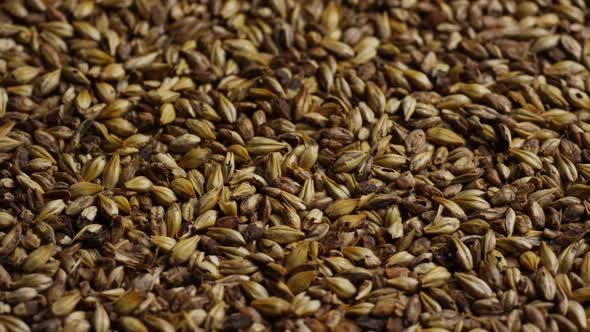 Rotating shot of barley and other beer brewing ingredients - BEER BREWING 099