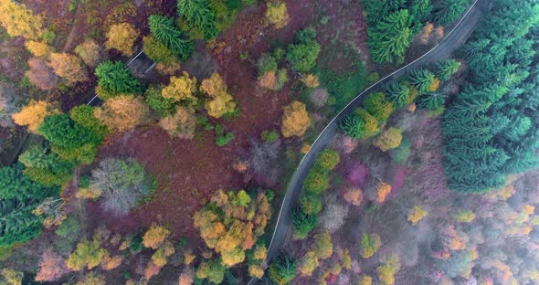 Overhead Aerial Top View Over Hairpin Bend Turn Road in Countryside Autumn Forest