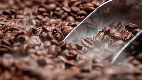 Close Up of Seeds of Coffee. Fragrant Coffee Beans Are Roasted Smoke Comes From Coffee Beans.