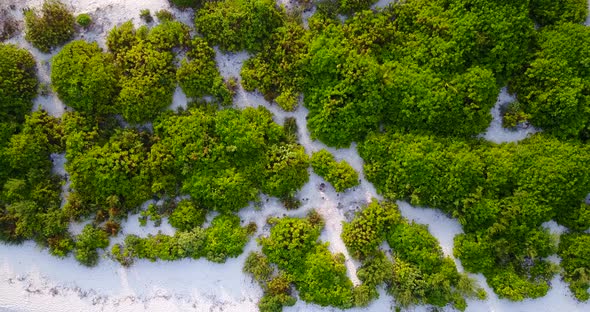 Beautiful overhead copy space shot of a sandy white paradise beach and turquoise sea background 