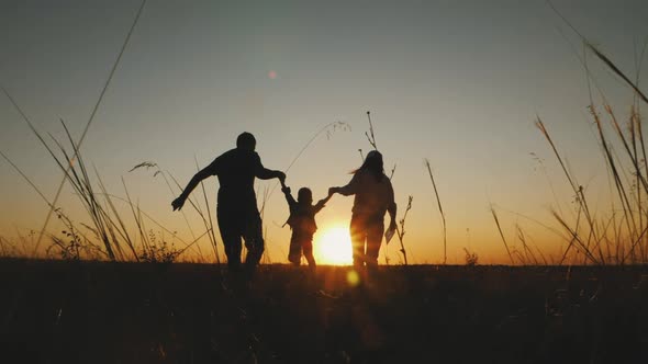 Happy Family Parents and Little Son Silhouettes Playing on Park