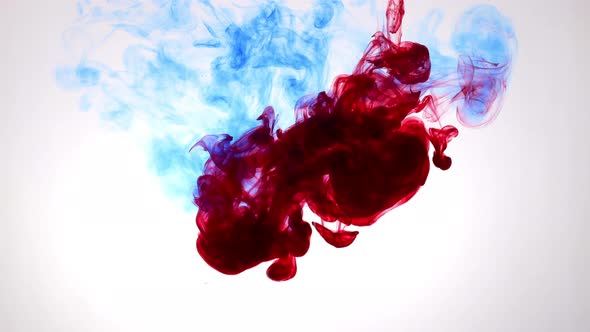 Ink Water Drops  Smoke Background  Drop Color Explosion Logo Reveal 17