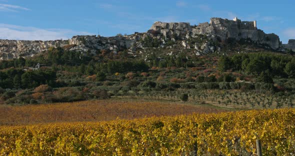 Vineyards, Les Baux de Provence, France