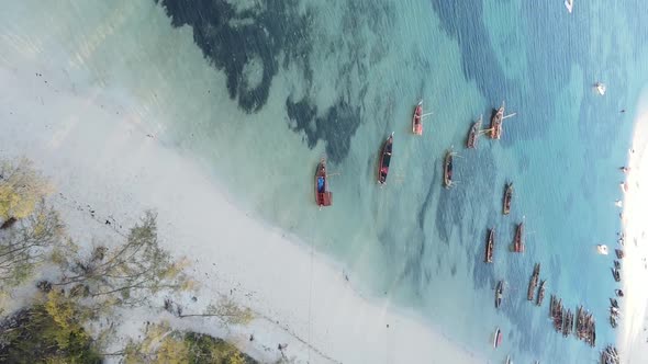 Vertical Video of the Ocean Near the Coast of Zanzibar Tanzania Aerial View