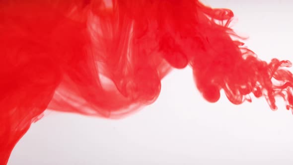 Red Color Paint Drops in Water  Drop of Red Ink Color Falling on Water Colorful Ink   Footage