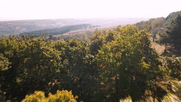 Colorful Autumn Forest Forests Drone Flight Over Beautiful Autumn Forests