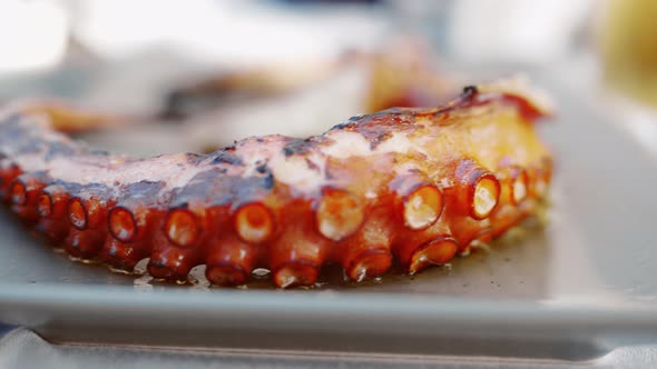 Grilled octopus on the dish