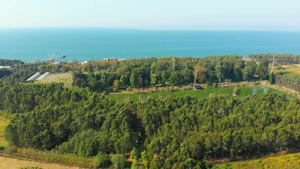 Aerial Approaching View Of Shekvetili Dendrological Park On Seaside 