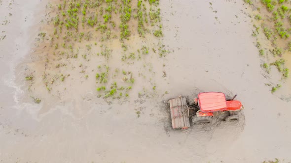 A Farmer Uses a Tractor To Prepare the Soil for Rice Cultivation