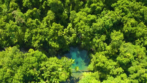 Aerial, A Hidden Paradise Lake In The Middle Of Rain Forest In Queensland, Australia