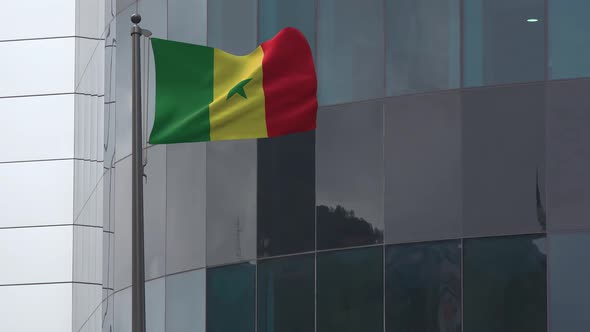 Senegal Flag Background 4K