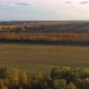 The Drone Is Flying Over the Forest Belt - VideoHive Item for Sale