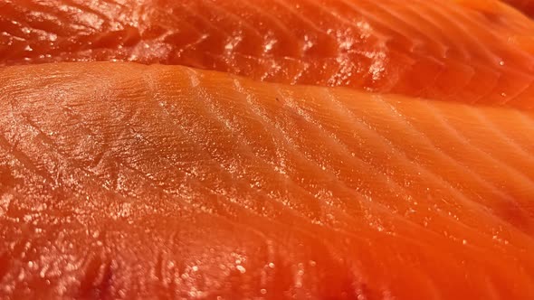 Fillet of Fresh Red Fish Salmon