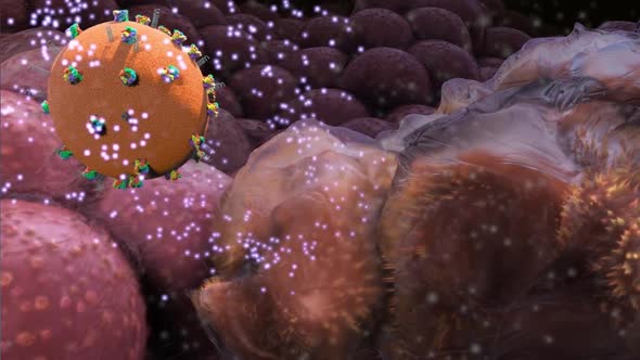 Invasive cancer growth, 3D animation showing tumor invasion into surrounding and underlined tissues