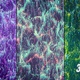 Colorful Abstract Particles - VideoHive Item for Sale