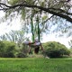 Young Woman Doing Aerial Yoga in a Park on a Sunny Day - VideoHive Item for Sale