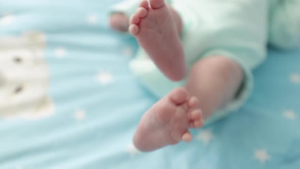 Legs Newborn