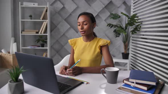 Young Businesswoman During Online Meeting