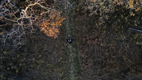 Drone ascending slowly revealing a man in natural path surrounded by trees in autumn colours in Albe