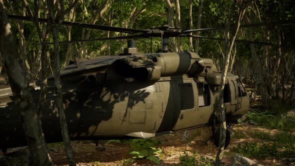 Military Helicopter in Deep Jungle