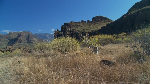 Dolly Shot of Nature and Mountain Landscape