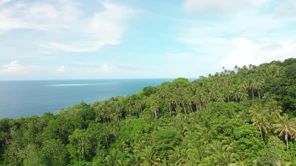 bird's eye view of a bright blue turquoise tropical Pacific ocean and palm trees under clear blue sk