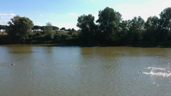 Swimming competition on the river