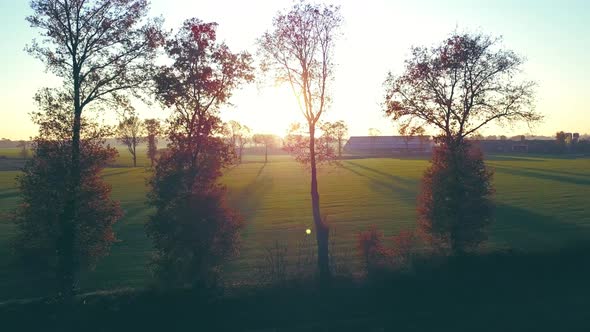 AERIAL View with LENS FLARE Picturesque Shot of Golden Autumn Sunbeams Illuminating the Colorful