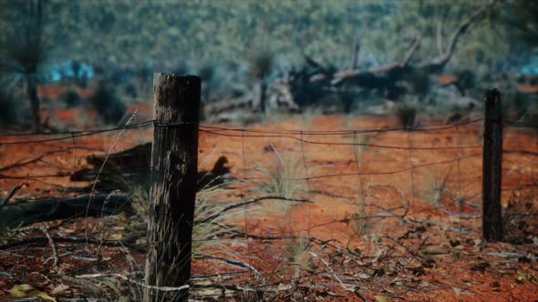 Dingoe Fence in the Australian Outback