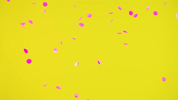 Round Pink Confetti Floating in Air on an Isolated Yellow Background