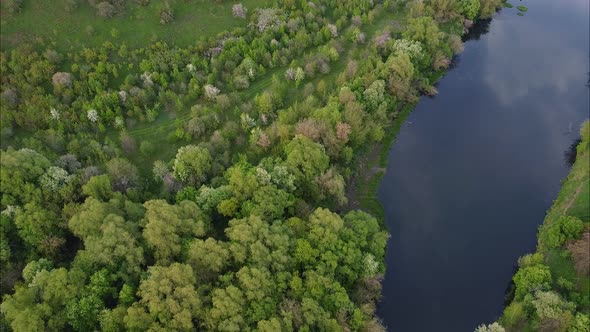 View of the river from above. Flight over water and forest trees from a height