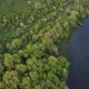 View of the river from above. Flight over water and forest trees from a height - VideoHive Item for Sale