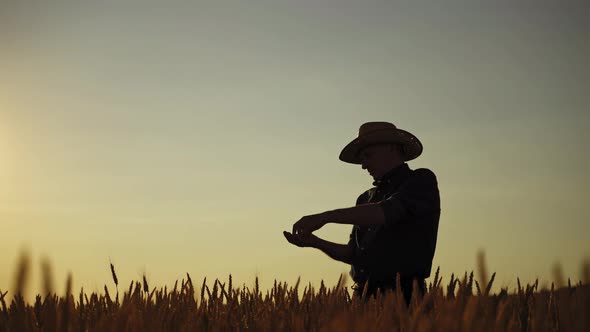 Silhouette of a farmer at sunset