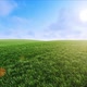Grass Landscape - VideoHive Item for Sale