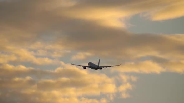 Plane in Cloudy Evening Sky