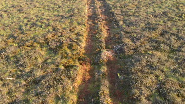 Drone View of the Road in the Swampy Area in the Northern Regions